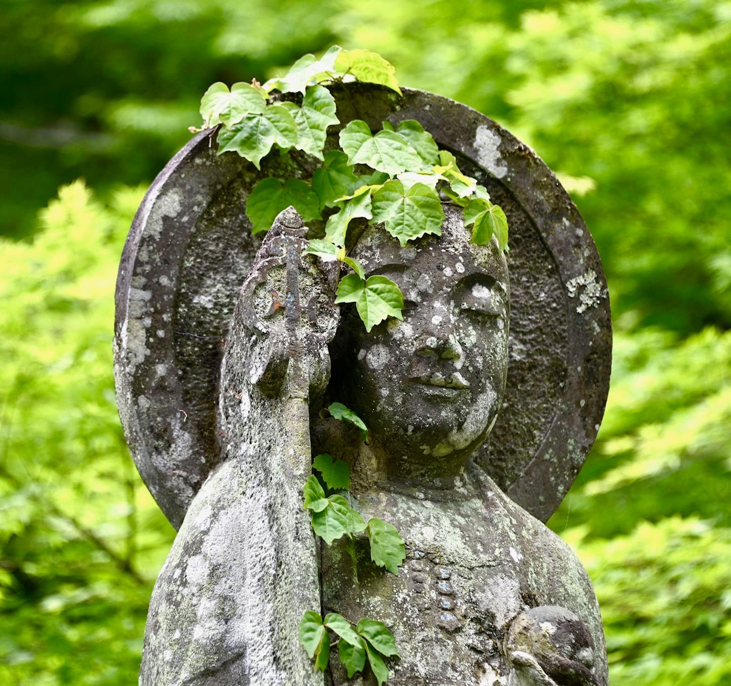 Токио — на открытом воздухе