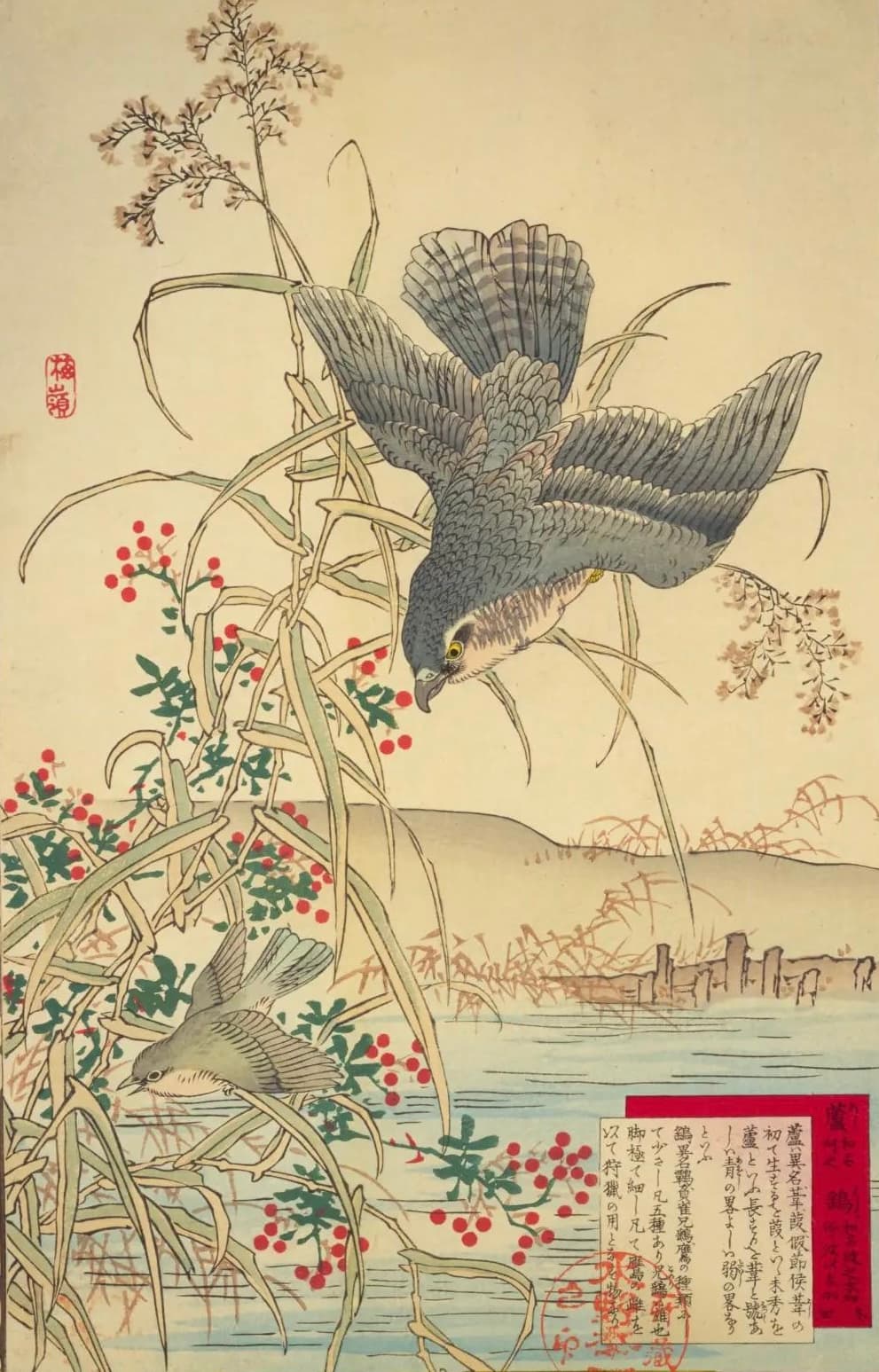 Герой: изображение 1