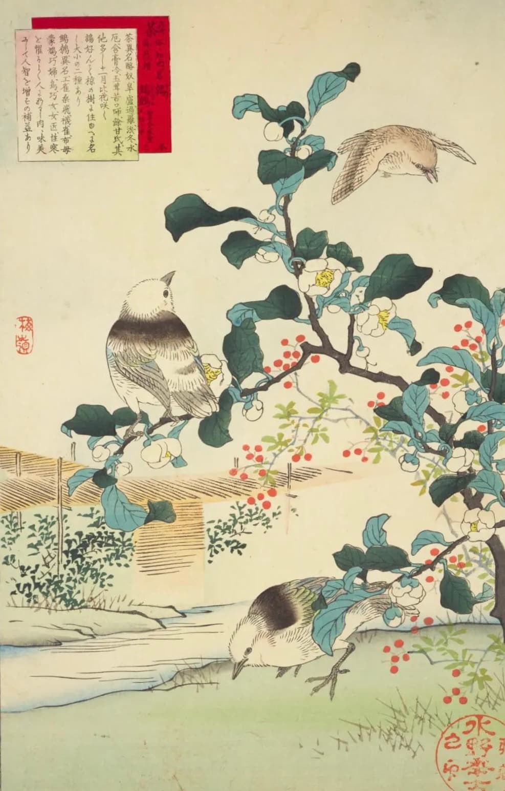 Герой: изображение 2