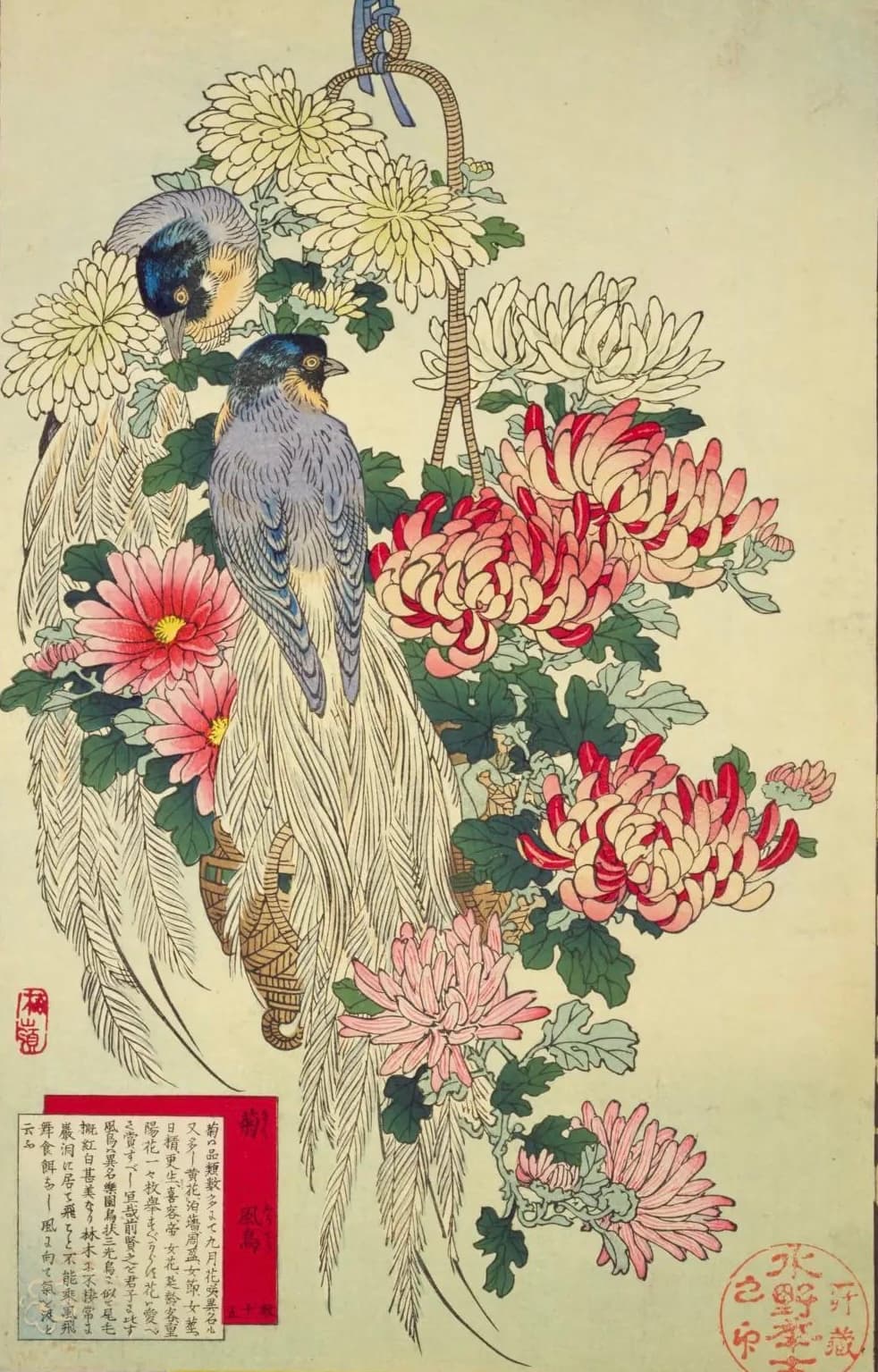 Герой: изображение 3